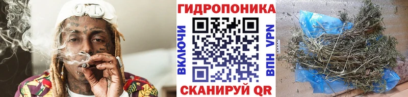 Какие есть наркотики Екатеринбург ГАШ Кокаин Героин Бошки Шишки Мефедрон Амфетамин Галлюциногенные грибы
