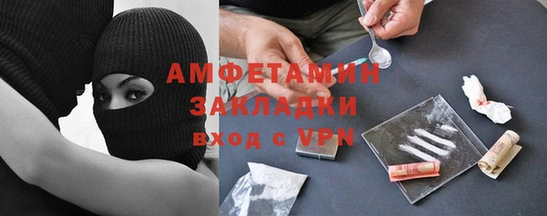 индика Горно-Алтайск
