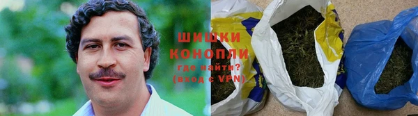 индика Горно-Алтайск