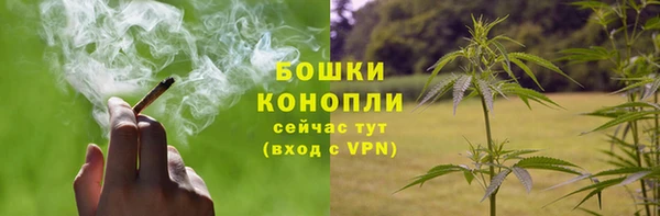 индика Горно-Алтайск