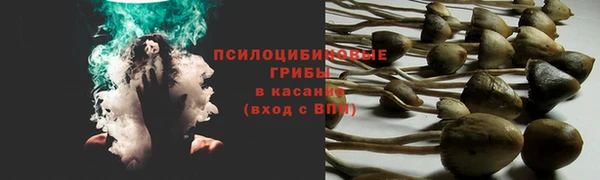 каннабис Горнозаводск