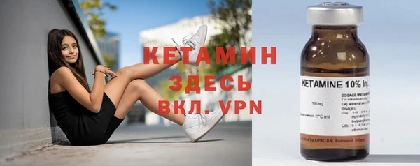 индика Горно-Алтайск