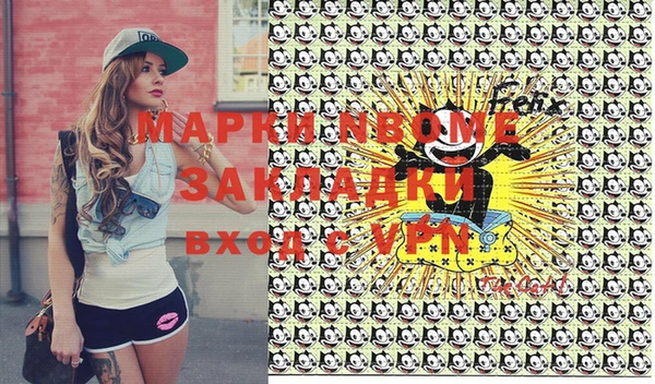 индика Горно-Алтайск