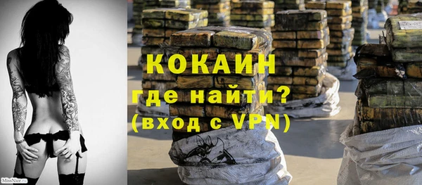 индика Горно-Алтайск