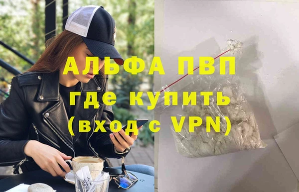 индика Горно-Алтайск