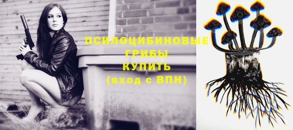 индика Горно-Алтайск