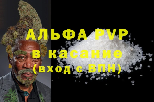 индика Горно-Алтайск