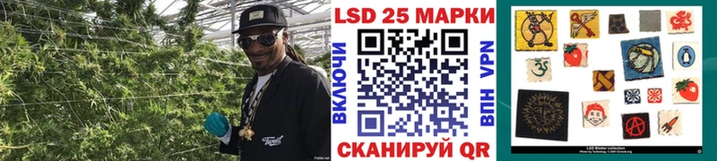 Марки N-bome 1,5мг  продажа наркотиков  Екатеринбург 