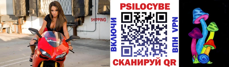 купить   Екатеринбург  KRAKEN вход  Псилоцибиновые грибы ЛСД 